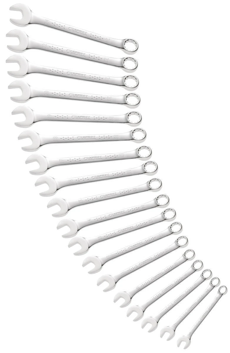 Expert By Facom E110306 21 Piece Metric Combination Spanner Set 6-32mm